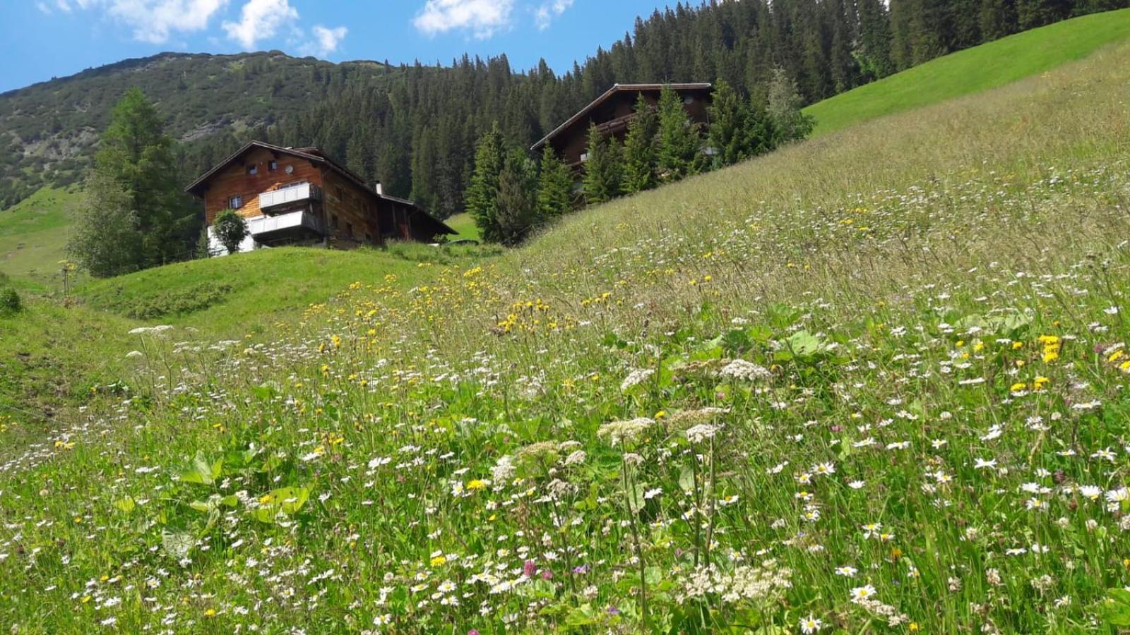 Haus Sonnenschein Apartment Warth  Екстериор снимка